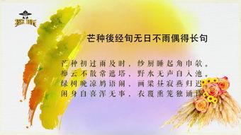 台北过手无暝无日,繁华不夜城掠影