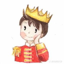 适合王子,荣耀与梦想的交织之旅